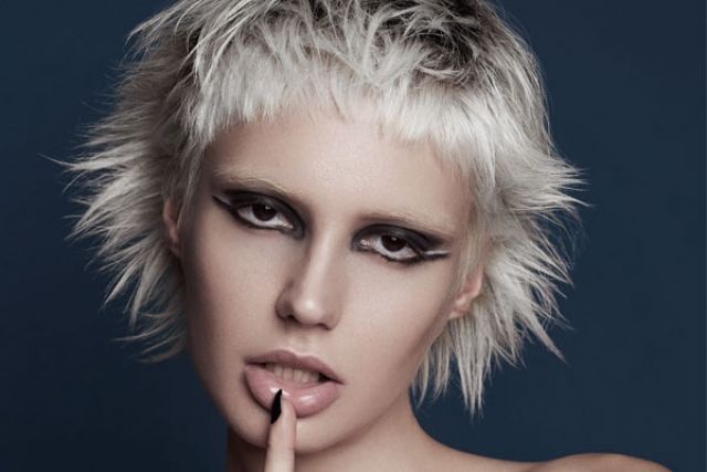 Sophie Chandler Collection