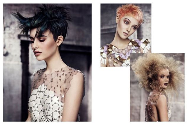 RAGS TO RICHES - Alexander Turnbull