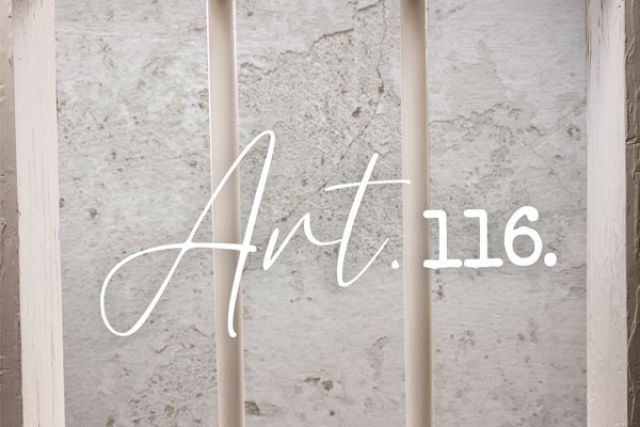 ART.116 Collection by DIEGO GUERRERO