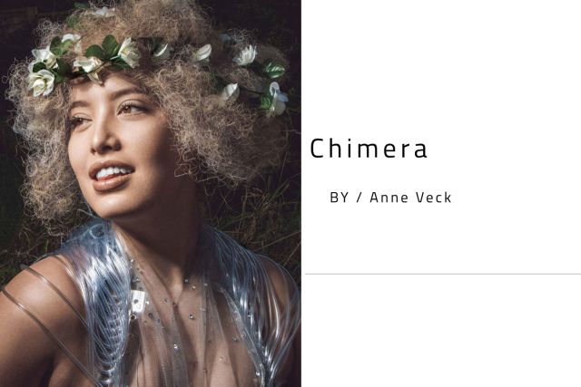Chimera - Anne Veck