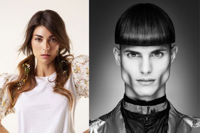 Hair as a hallmark of identity