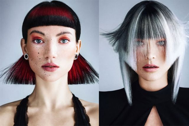 Mirage collection - Steven Smart